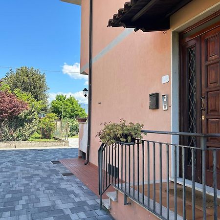 Albi'S House,Terrazza ,Wi-Fi, Parcheggio, Ac Daire Lucca Dış mekan fotoğraf