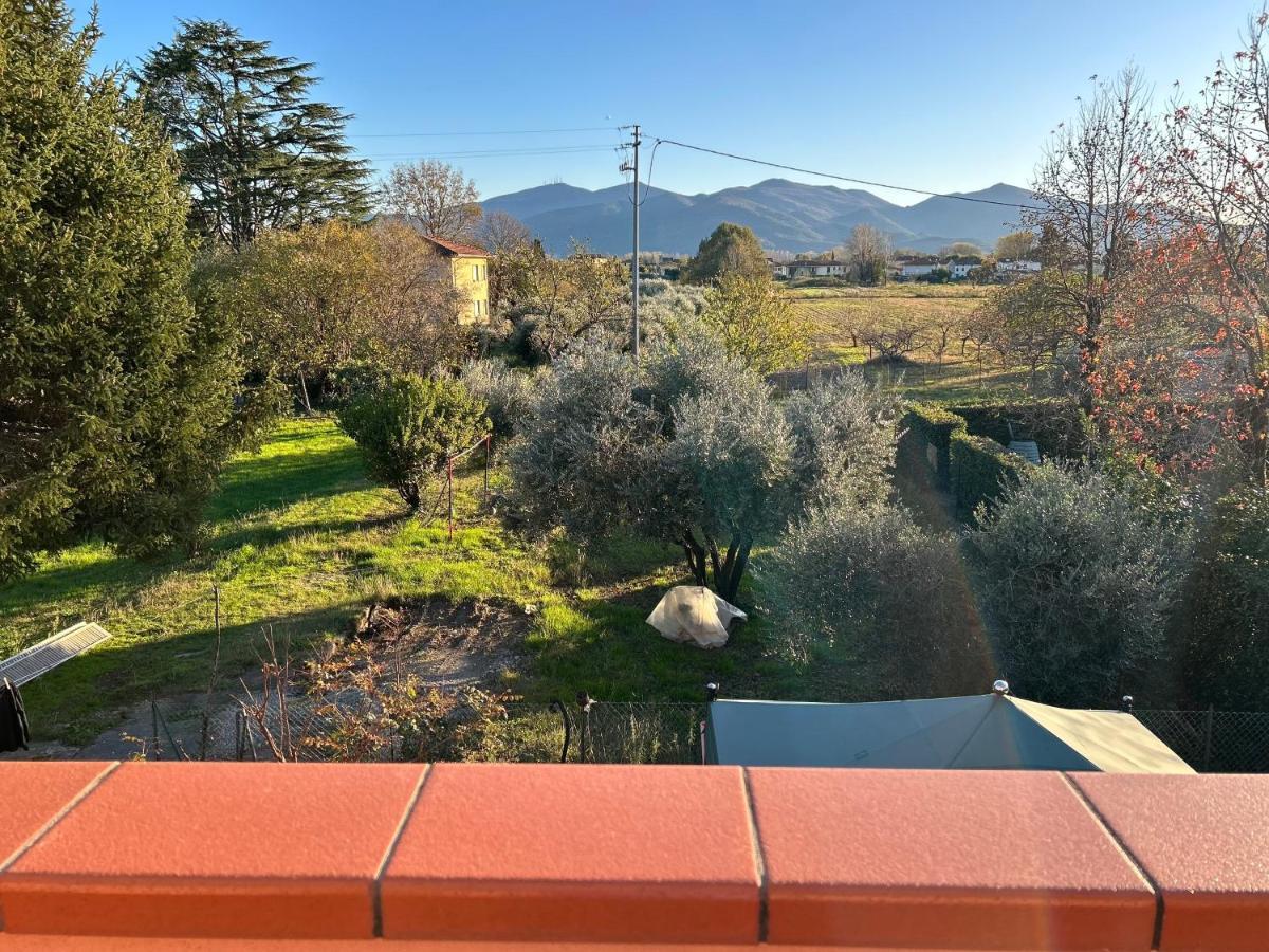 Albi'S House,Terrazza ,Wi-Fi, Parcheggio, Ac Daire Lucca Dış mekan fotoğraf