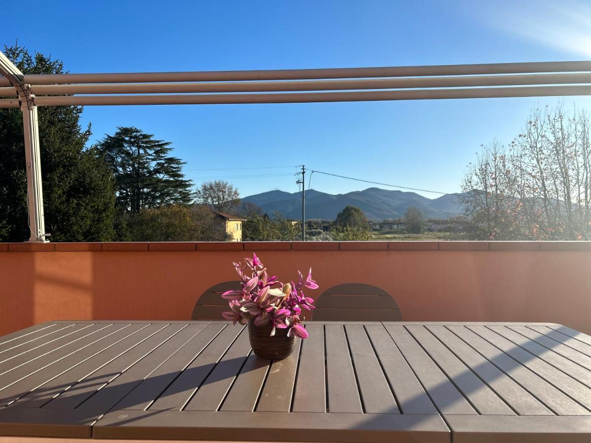 Albi'S House,Terrazza ,Wi-Fi, Parcheggio, Ac Daire Lucca Dış mekan fotoğraf