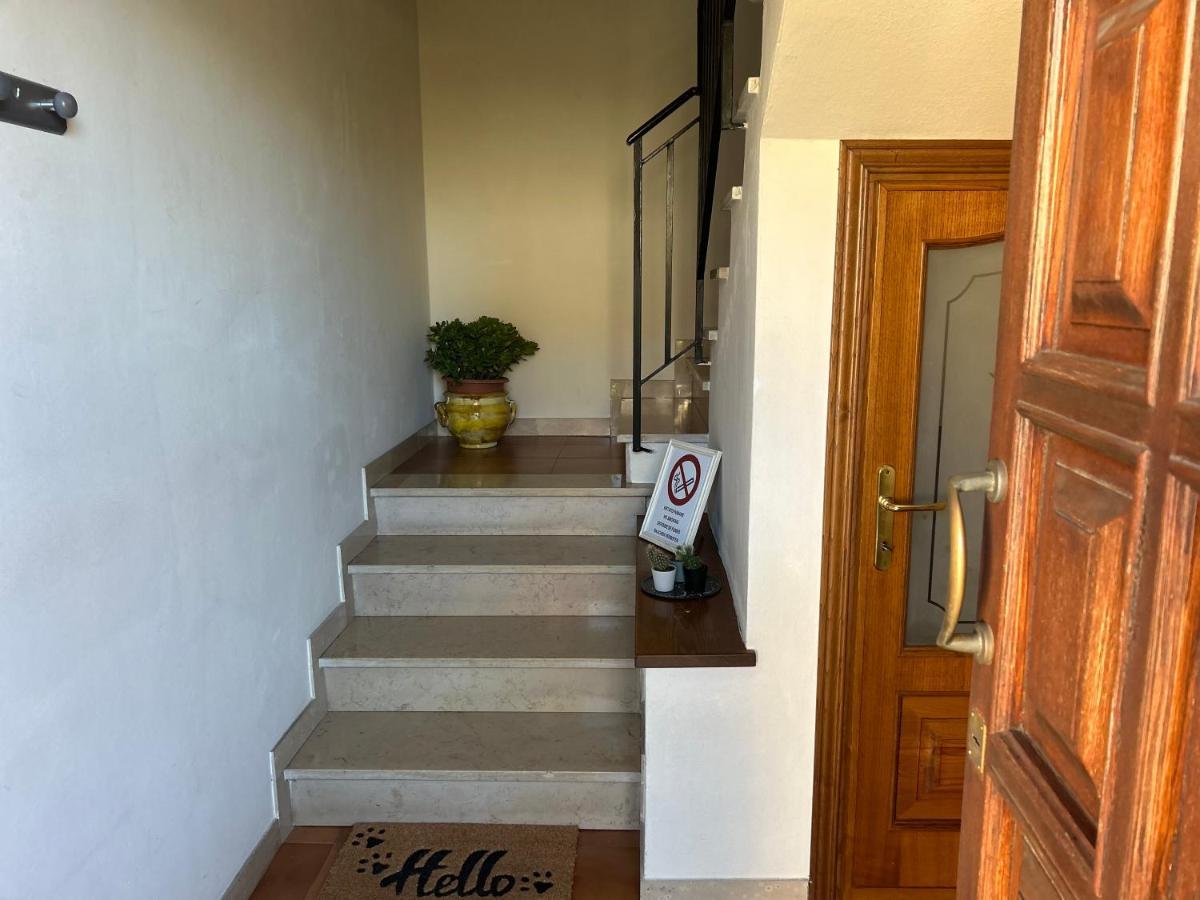 Albi'S House,Terrazza ,Wi-Fi, Parcheggio, Ac Daire Lucca Dış mekan fotoğraf
