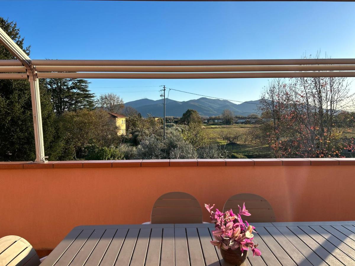 Albi'S House,Terrazza ,Wi-Fi, Parcheggio, Ac Daire Lucca Dış mekan fotoğraf