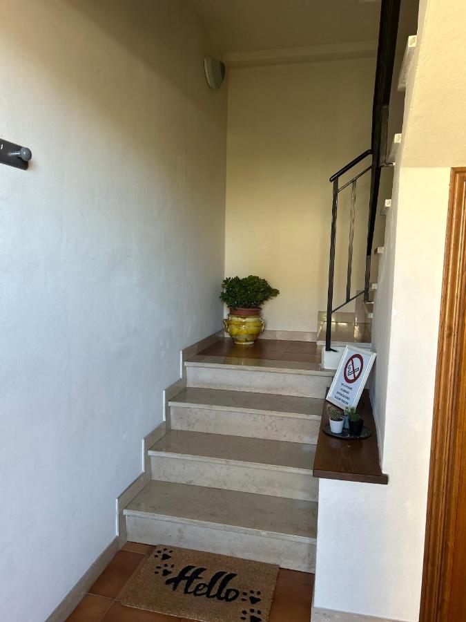 Albi'S House,Terrazza ,Wi-Fi, Parcheggio, Ac Daire Lucca Dış mekan fotoğraf
